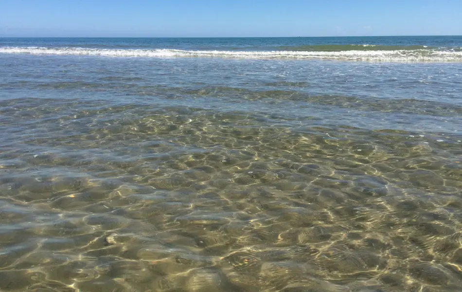πβ Ultima settimana di agosto al mare: relax, sole e divertimento! πΉβ±οΈ πβ Ultima settimana di agosto al mare: relax, sole e divertimento! πΉβ±οΈ